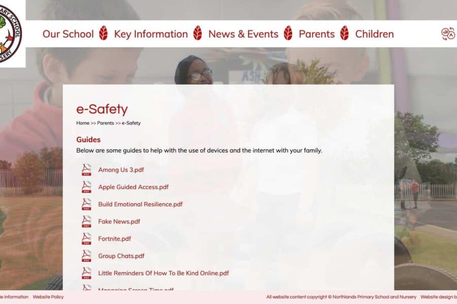 Northlands Infant School & Nursery portfolio image 5